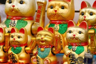 Maskottchen Katzen in Gold