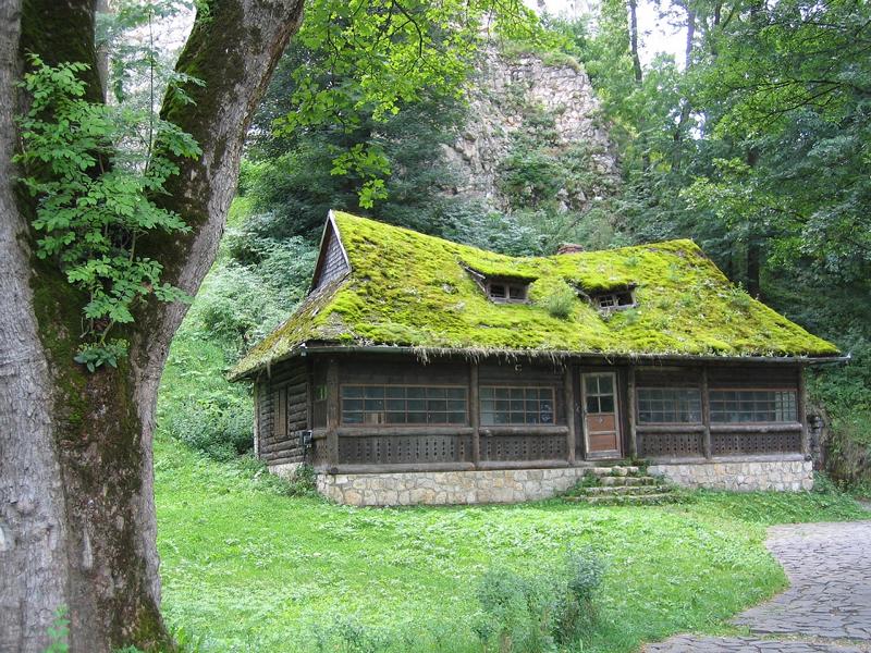 Eine vermoste Waldhütte